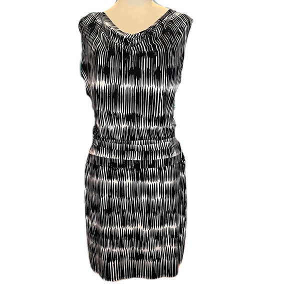 Ann Taylor Dresses & Skirts - Ann Taylor NWT Size Large Petite Dress Black & Ivory Summer